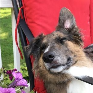 Meet your Posher, Courtney